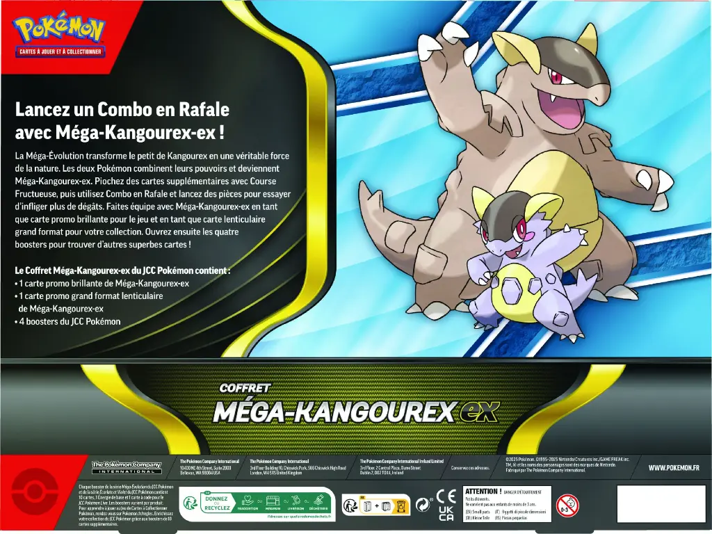 Pokémon-JCC-Coffret-Méga-Kangourex-ex-FR-back.webp